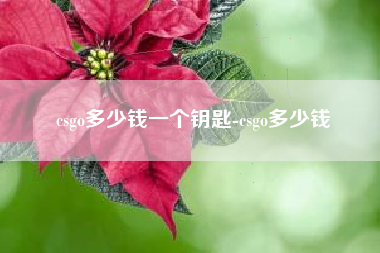 csgo多少钱一个钥匙-csgo多少钱