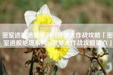密室逃脱绝境系列10寻梦大作战攻略「密室逃脱绝境系列10寻梦大作战攻略第六」