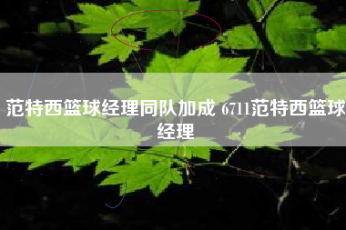 范特西篮球经理同队加成 6711范特西篮球经理