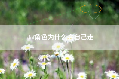 dnf角色为什么会自己走