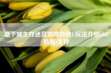 地下城生存迷宫游戏特色1.玩法介绍(dnf私服)生存