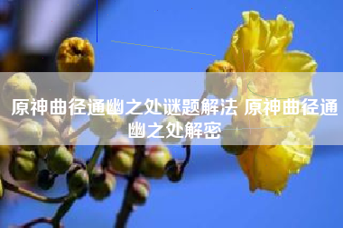 原神曲径通幽之处谜题解法 原神曲径通幽之处解密