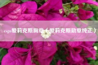 csgo爱莉克斯胸章（爱莉克斯勋章纯正）