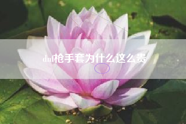 dnf枪手套为什么这么贵