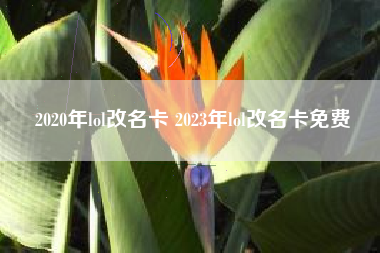 2020年lol改名卡 2023年lol改名卡免费