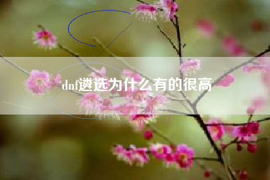 dnf遴选为什么有的很高