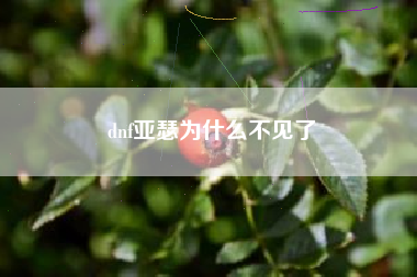 dnf亚瑟为什么不见了
