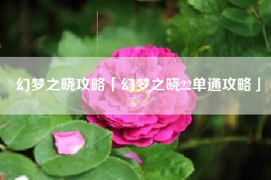幻梦之晓攻略「幻梦之晓22单通攻略」