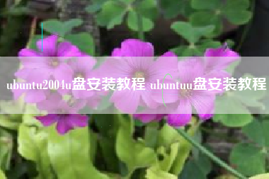 ubuntu2004u盘安装教程 ubuntuu盘安装教程