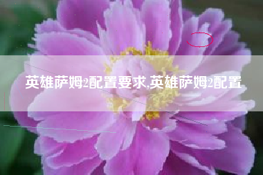 英雄萨姆2配置要求,英雄萨姆2配置