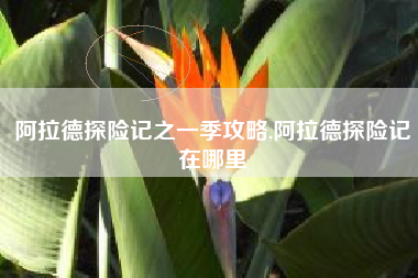 阿拉德探险记之一季攻略,阿拉德探险记在哪里