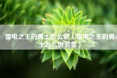 雷电之王的勇士怎么做（雷电之王的勇士怎么做装备）