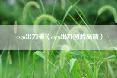 csgo出刀表（csgo出刀图片高清）