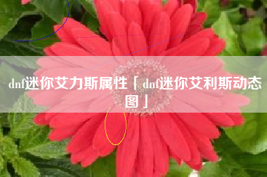 dnf迷你艾力斯属性「dnf迷你艾利斯动态图」