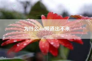 为什么dnf频道出不来