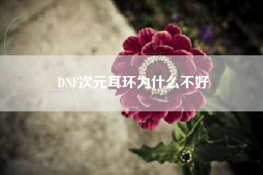 DNF次元耳环为什么不好