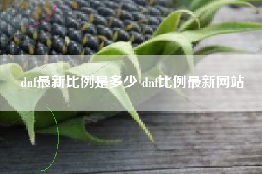 dnf最新比例是多少 dnf比例最新网站