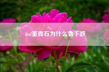 dnf堇青石为什么会下跌