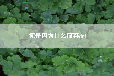 你是因为什么放弃dnf