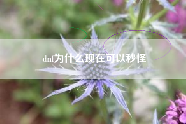 dnf为什么现在可以秒怪