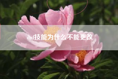 dnf技能为什么不能更改