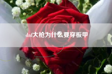 dnf大枪为什么要穿板甲