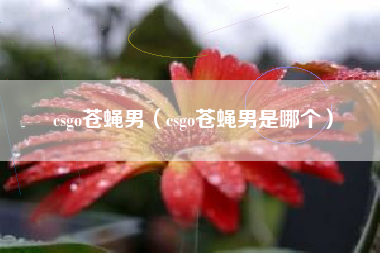 csgo苍蝇男（csgo苍蝇男是哪个）