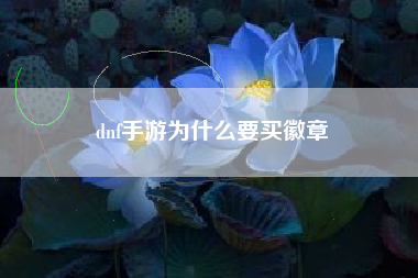 dnf手游为什么要买徽章