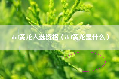 dnf黄龙入选资格（dnf黄龙是什么）