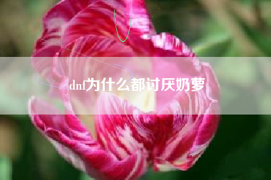 dnf为什么都讨厌奶萝