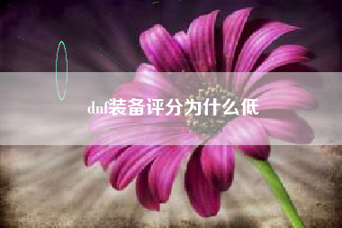 dnf装备评分为什么低