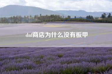 dnf商店为什么没有板甲