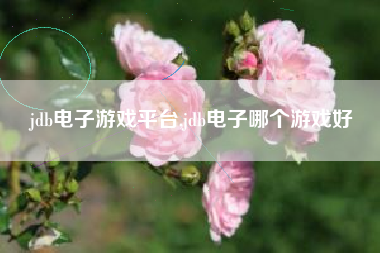 jdb电子游戏平台,jdb电子哪个游戏好