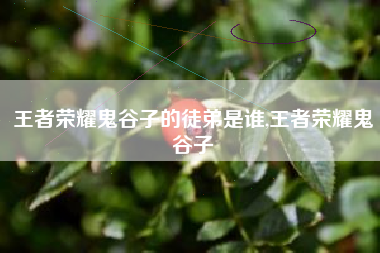 王者荣耀鬼谷子的徒弟是谁,王者荣耀鬼谷子