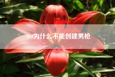 dnf为什么不能创建男枪