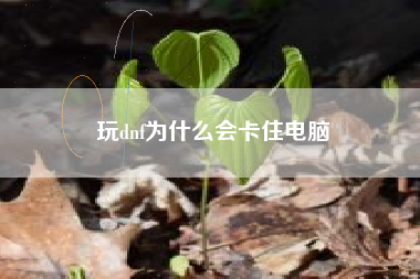 玩dnf为什么会卡住电脑