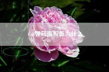 dnf弹药面板低为什么
