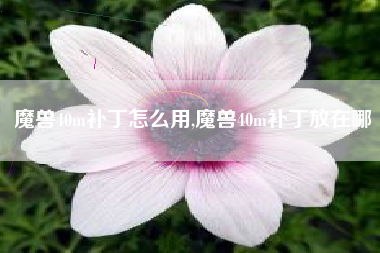 魔兽40m补丁怎么用,魔兽40m补丁放在哪