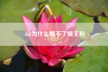 dnf为什么掉不了领主粉