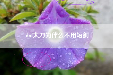 dnf太刀为什么不用短剑