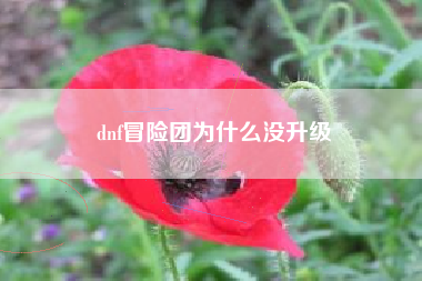 dnf冒险团为什么没升级
