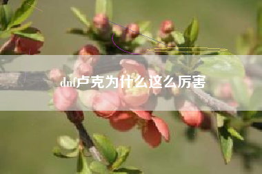 dnf卢克为什么这么厉害