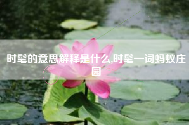 时髦的意思解释是什么,时髦一词蚂蚁庄园
