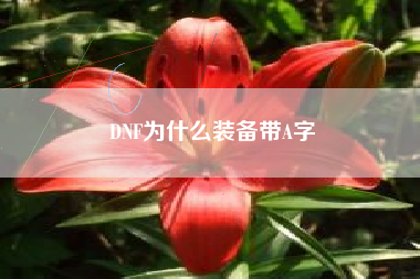 DNF为什么装备带A字