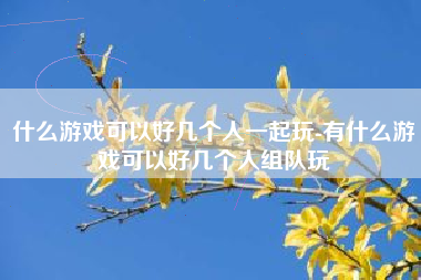 什么游戏可以好几个人一起玩-有什么游戏可以好几个人组队玩