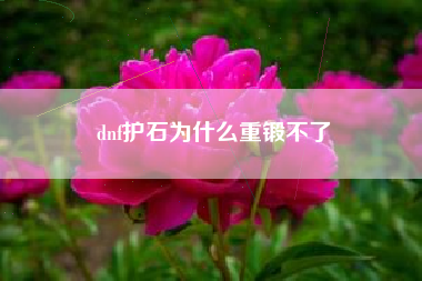 dnf护石为什么重锻不了