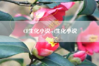 CF生化小说-cf生化小说