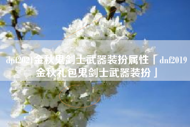 dnf2021金秋鬼剑士武器装扮属性「dnf2019金秋礼包鬼剑士武器装扮」