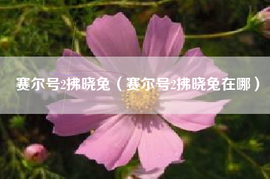 赛尔号2拂晓兔（赛尔号2拂晓兔在哪）