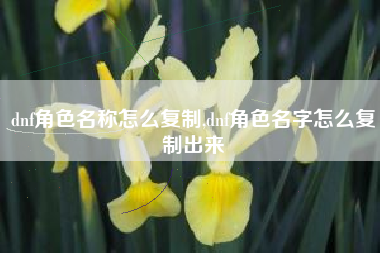 dnf角色名称怎么复制,dnf角色名字怎么复制出来